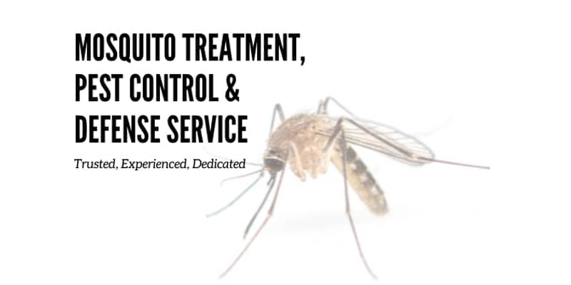 Mosquito Treatment and control Chandler az